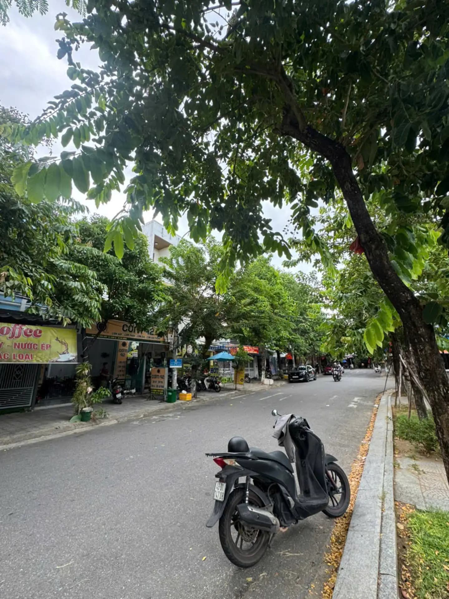Cho thuê nhà mặt tiền Đặng Văn Ngữ - Đối diện công viên, gần chợ Cẩm Lệ - Ảnh 1